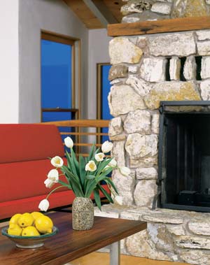 Committed to recycling, Suzanne Jones furnished the home with stylish, used items.